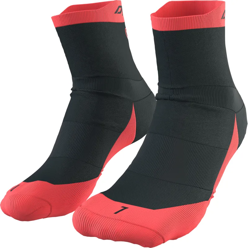 Dynafit Transalper Sock in Blueberry/Fluo Coral